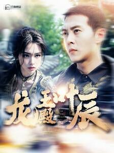 龍王殿葉辰