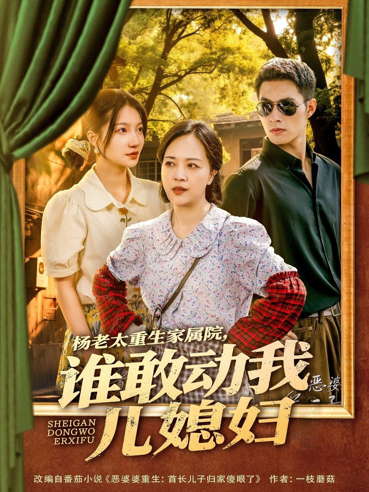 楊老太重生家屬院誰敢動我兒媳婦