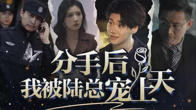 分手后，我被陸總寵上天