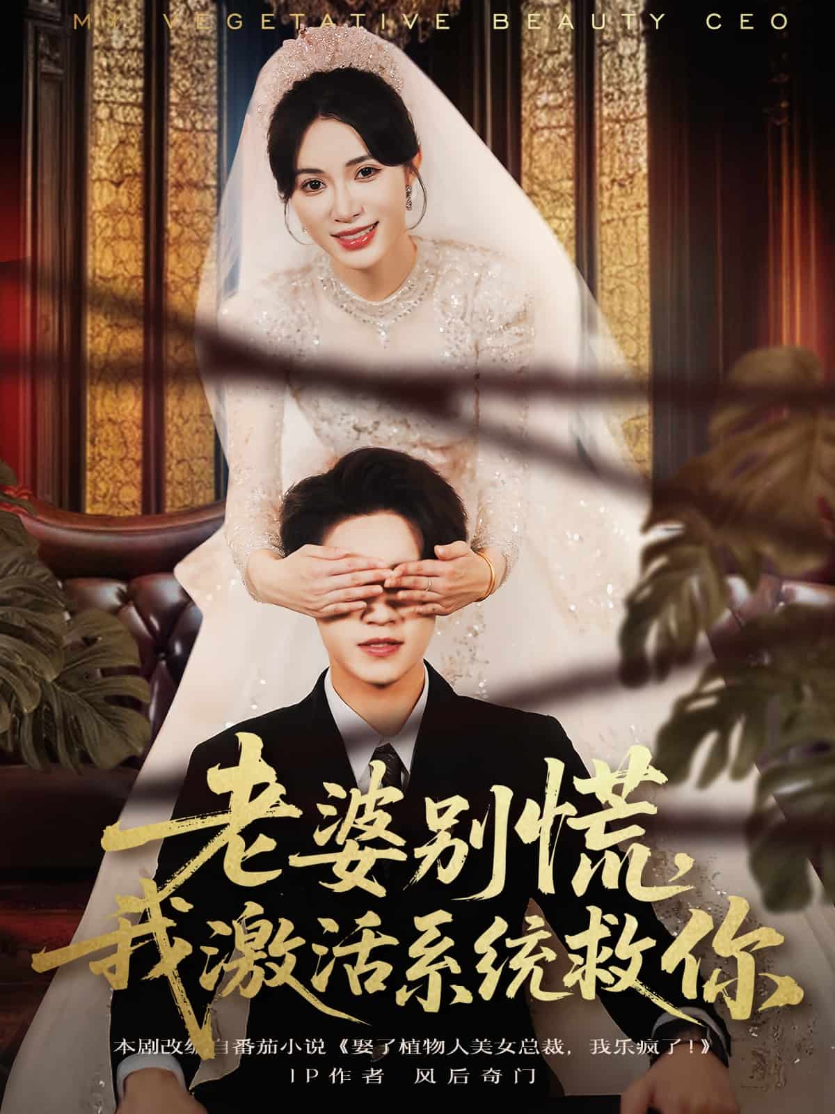老婆別慌，我激活系統救你