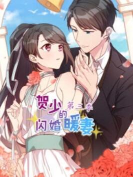 賀少的閃婚暖妻 動態漫第三季
