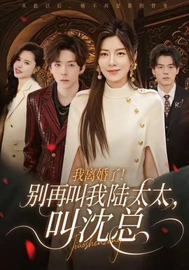 我離婚了！別再叫我陸太太，叫沈總
